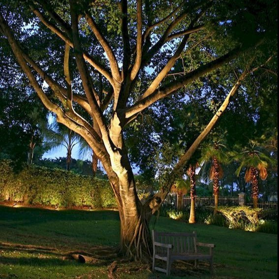 Solar Spotlights 5-Piece Set