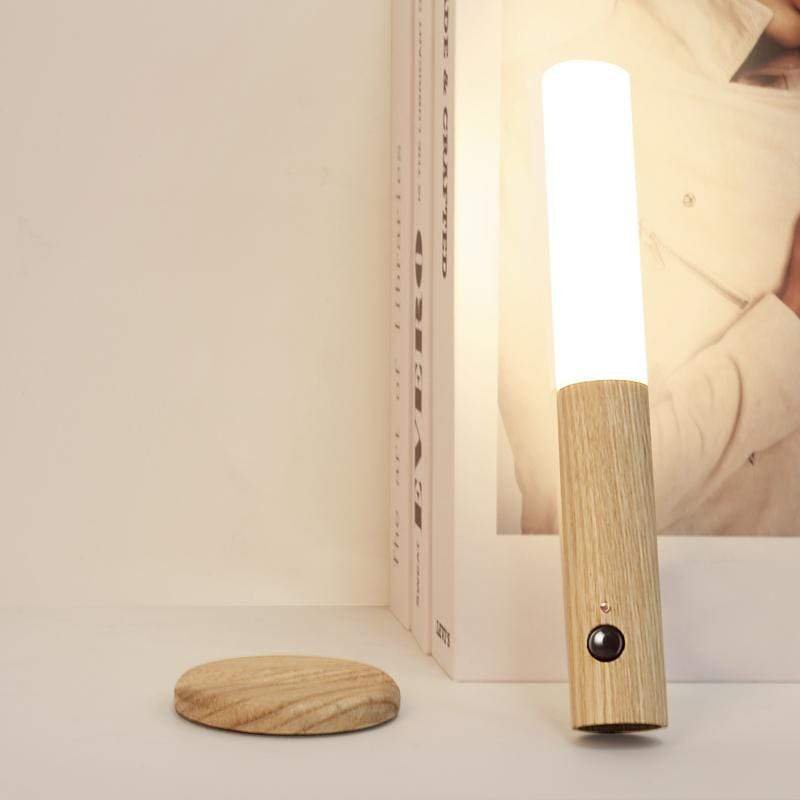 Mountable Motion Sensor Light