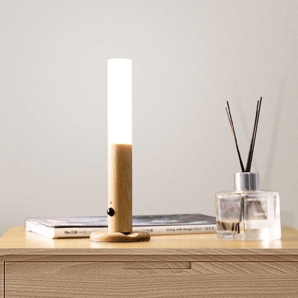 Mountable Motion Sensor Light